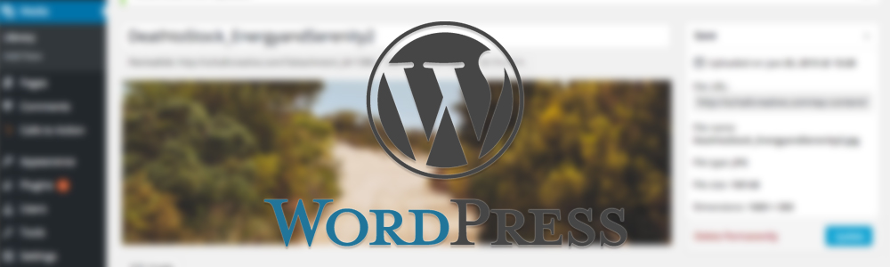 How to resize an image using wordpress